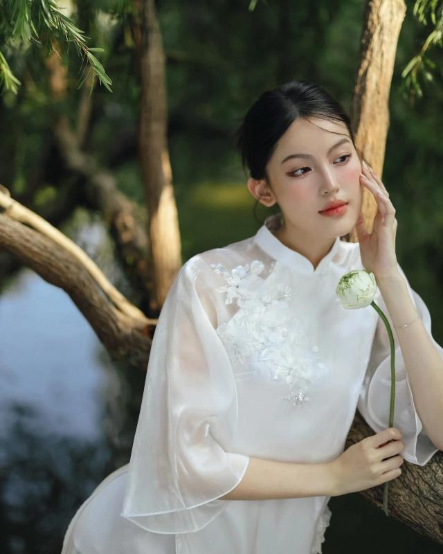 tang my han anh 2