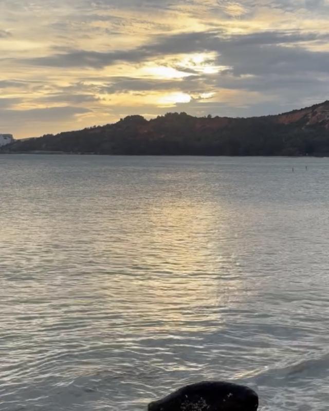 tan hoa hau hoan vu anh 3