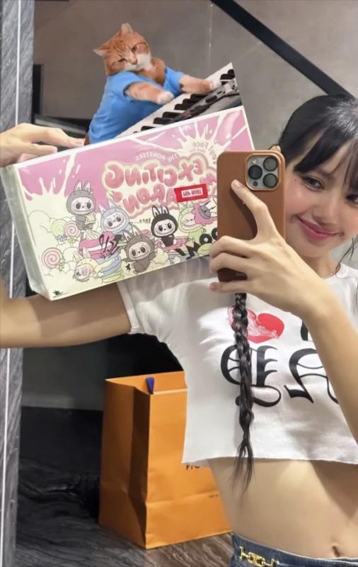 Labubu,  Molly,  Pop Mart,  Lisa,  BlackPink,  Lisa Labubu,  gia Labubu anh 7