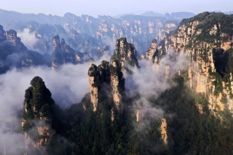 Truong Gia Gioi anh 1
