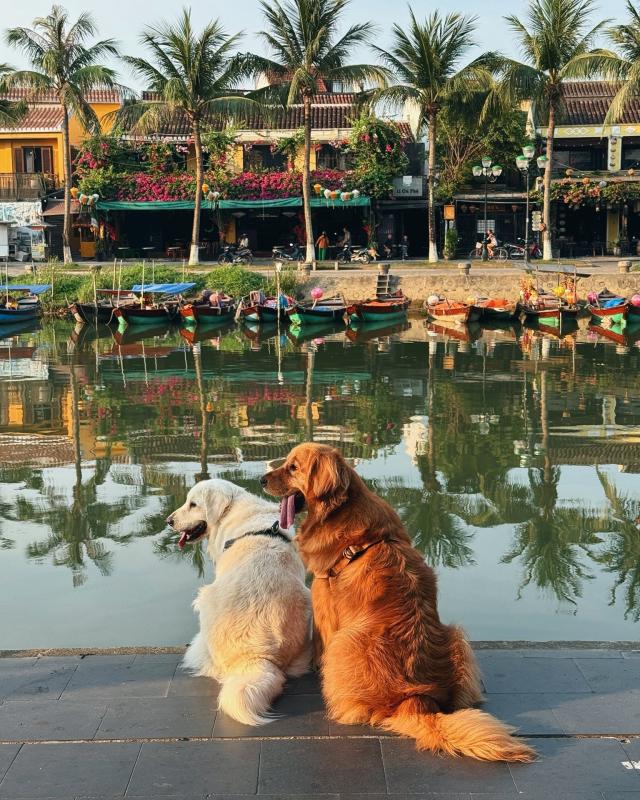 du lich xuyen Viet anh 12