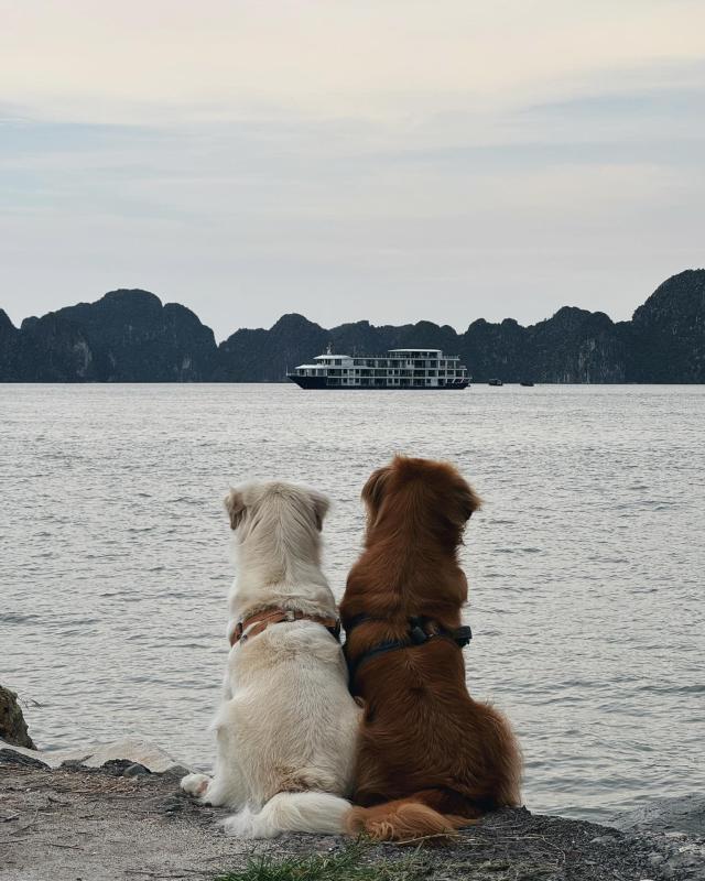 du lich xuyen Viet anh 24