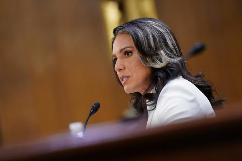 Tulsi Gabbard la ai anh 2