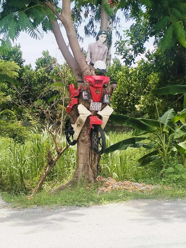 xe may xuyen cay anh 2