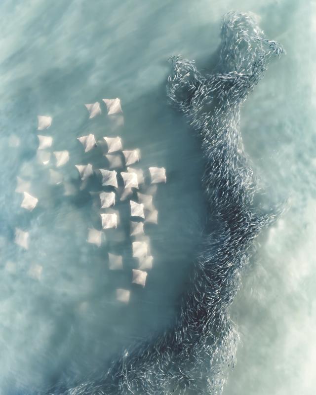 International Aerial Photographer anh 2