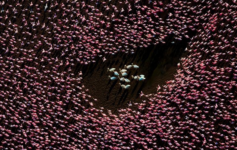 International Aerial Photographer anh 5