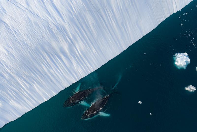 Du lich Greenland anh 6