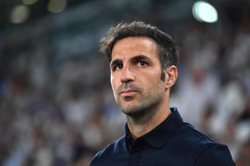 Cesc Fabregas anh 2
