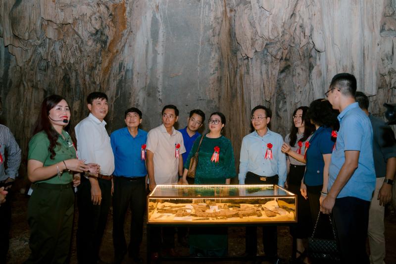 Hang Chỉ Huy ảnh 29 Hang Chi Huy anh 29