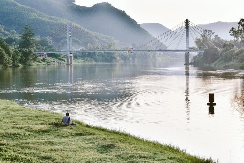 Hoa Bac Da Nang anh 14