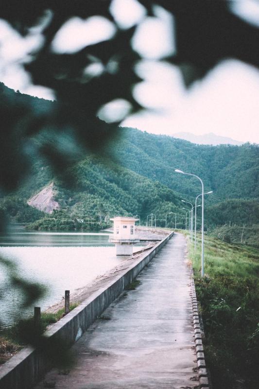 Hoa Bac Da Nang anh 16