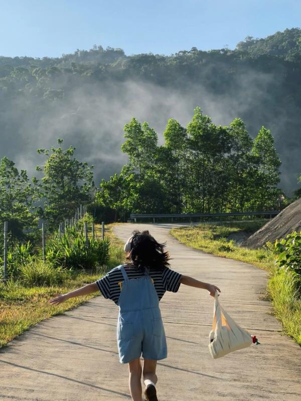 Hoa Bac Da Nang anh 9