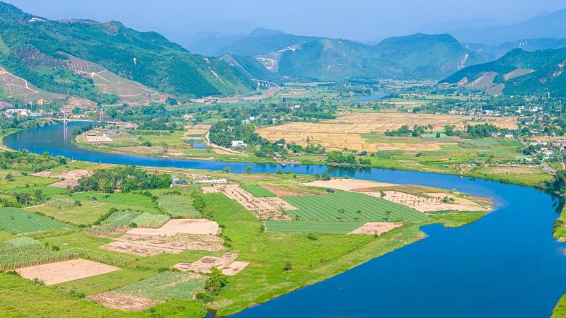 Hoa Bac Da Nang anh 2