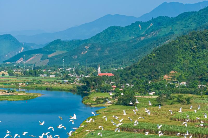 Hoa Bac Da Nang anh 10