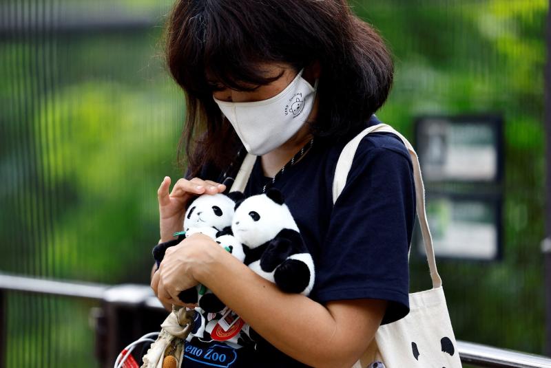 gau truc anh 1