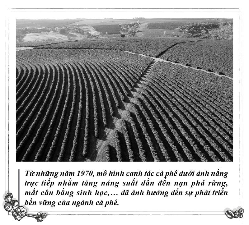 Trung Nguyen Legend anh 2