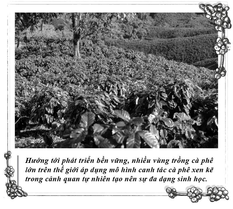 Trung Nguyen Legend anh 3