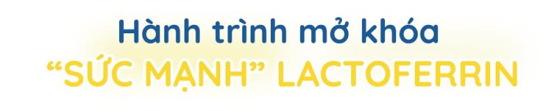 Lactoferrin anh 2