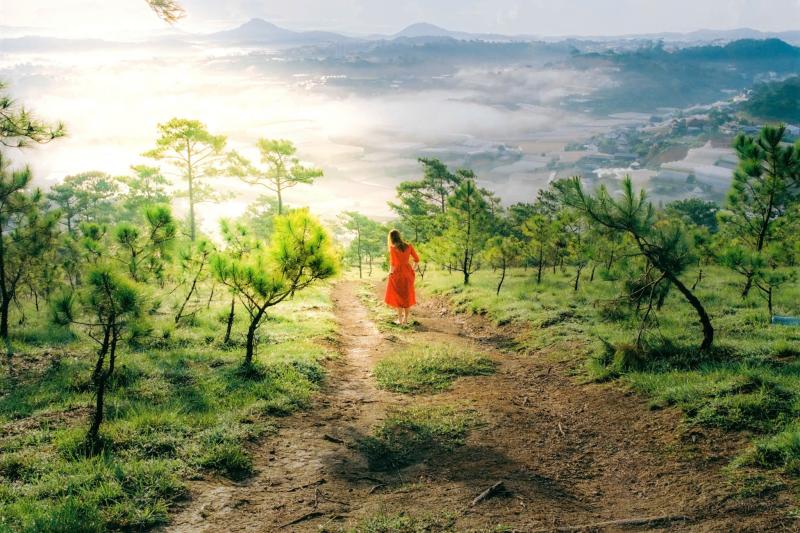 Dang Hoai Anh anh 7