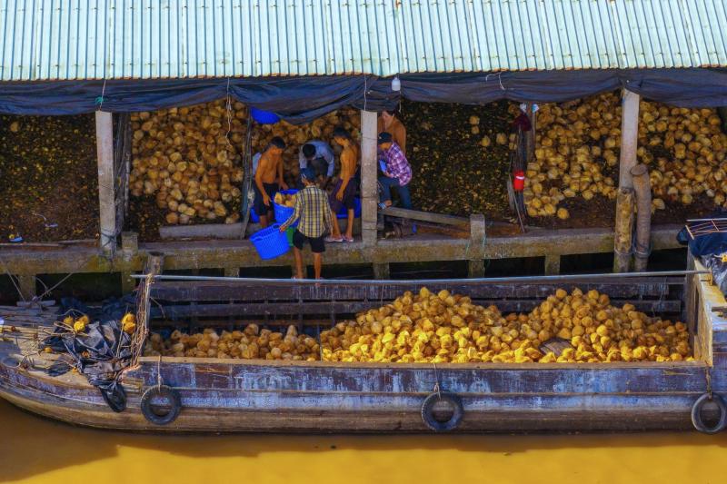 du lịch Vĩnh Long ảnh 14 du lich Vinh Long anh 14