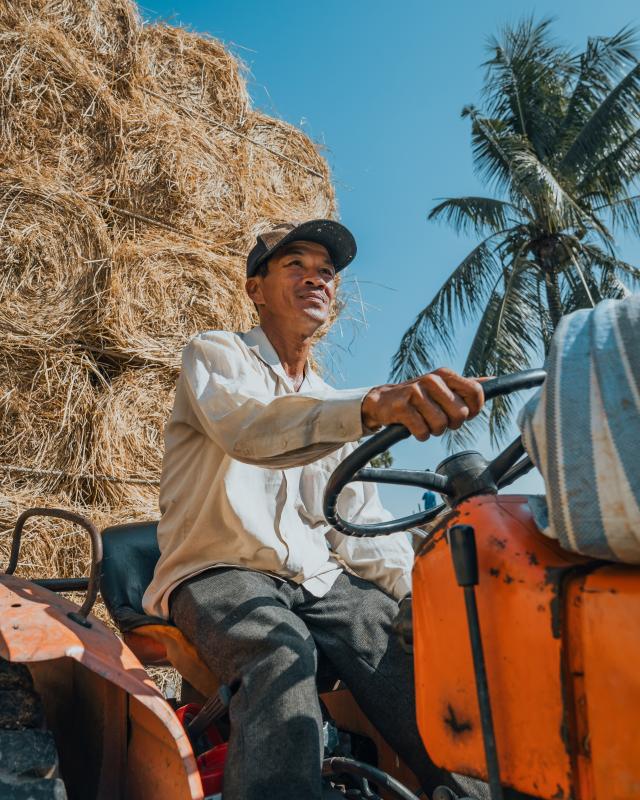 du lịch Vĩnh Long ảnh 24 du lich Vinh Long anh 24