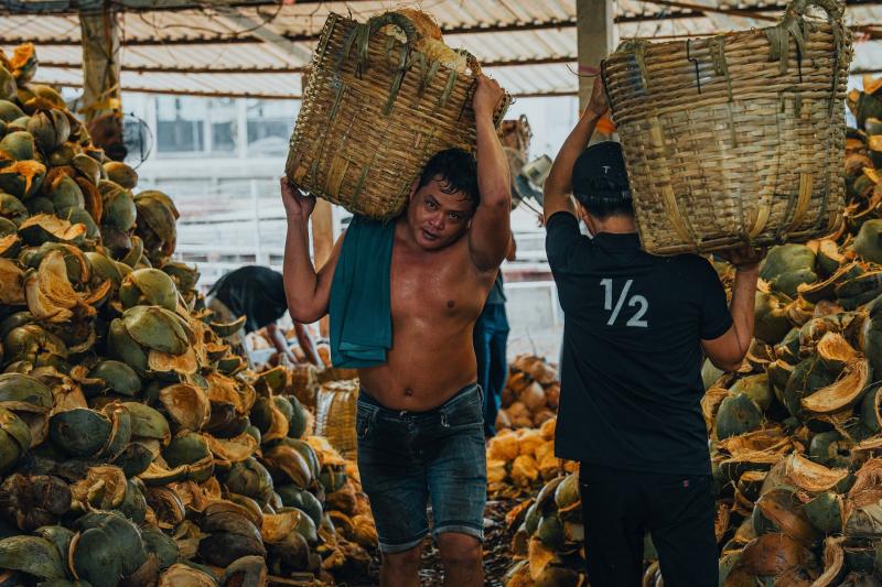 du lịch Vĩnh Long ảnh 16 du lich Vinh Long anh 16