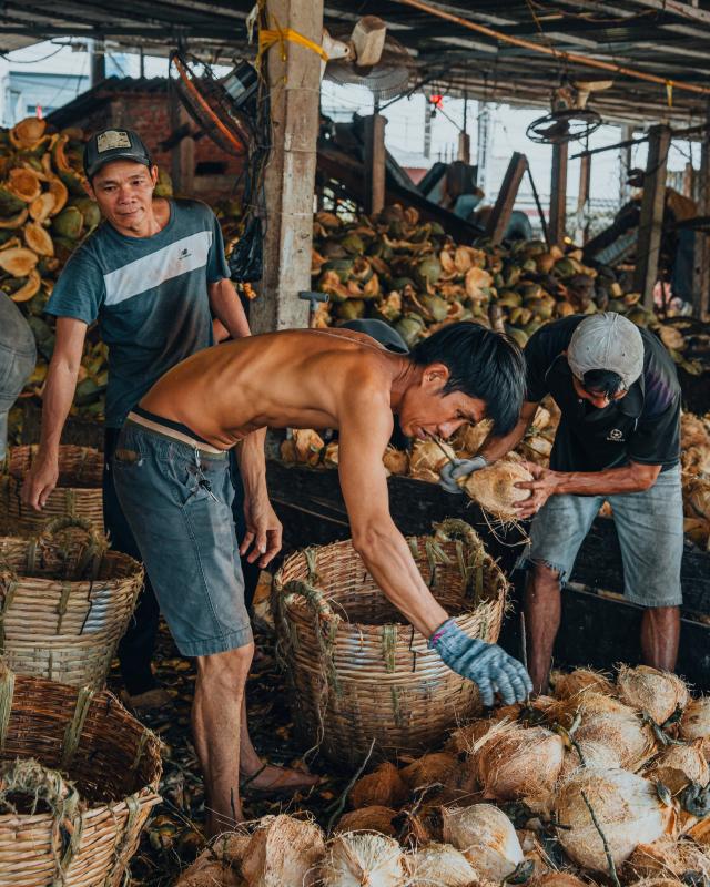 du lịch Vĩnh Long ảnh 15 du lich Vinh Long anh 15