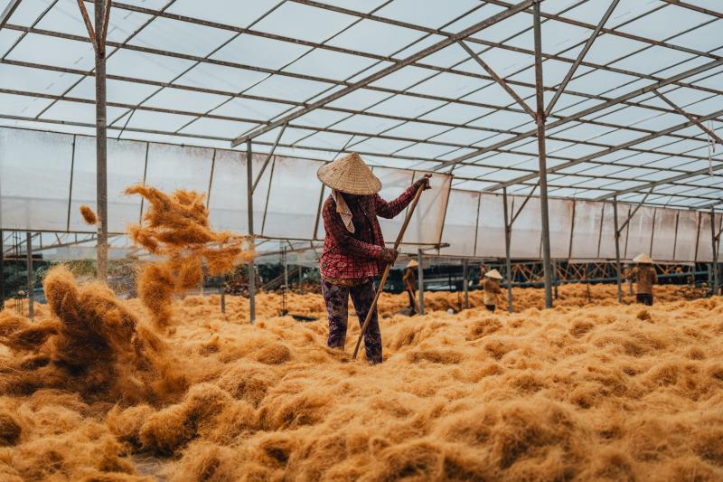 du lịch Vĩnh Long ảnh 18 du lich Vinh Long anh 18