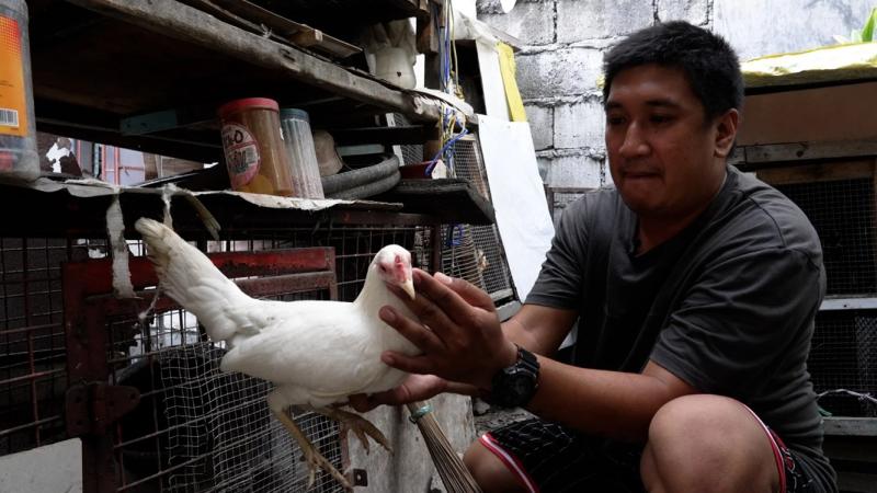 da ga philippines anh 2