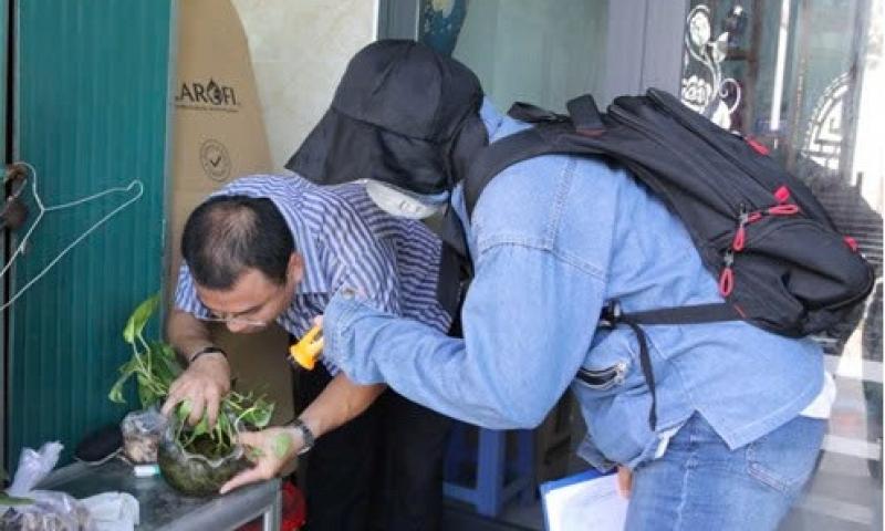 dich sot xuat huyet anh 1