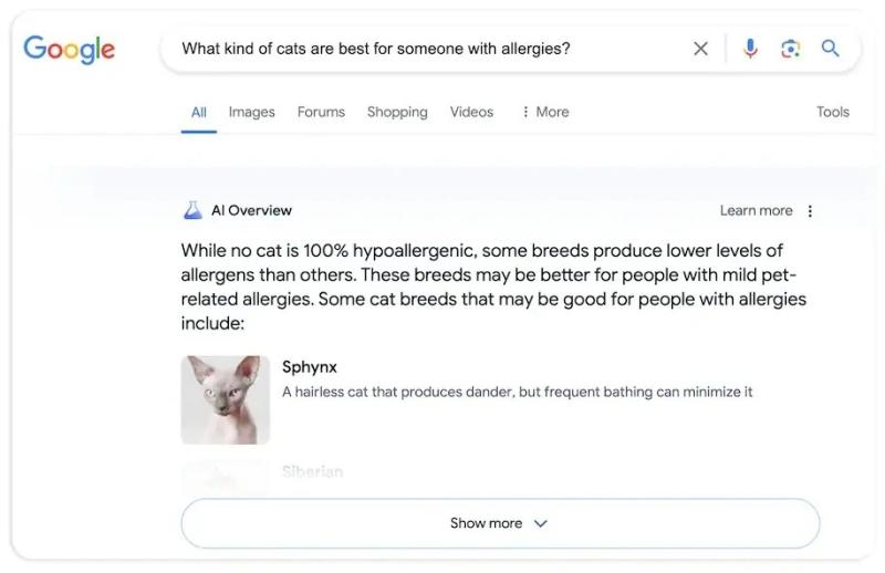 Google anh 2