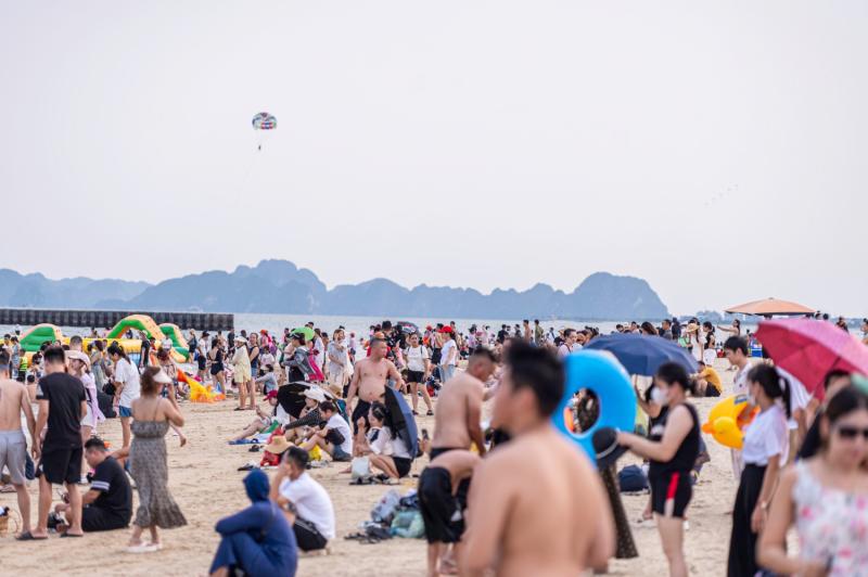 tam bien bai chay anh 1