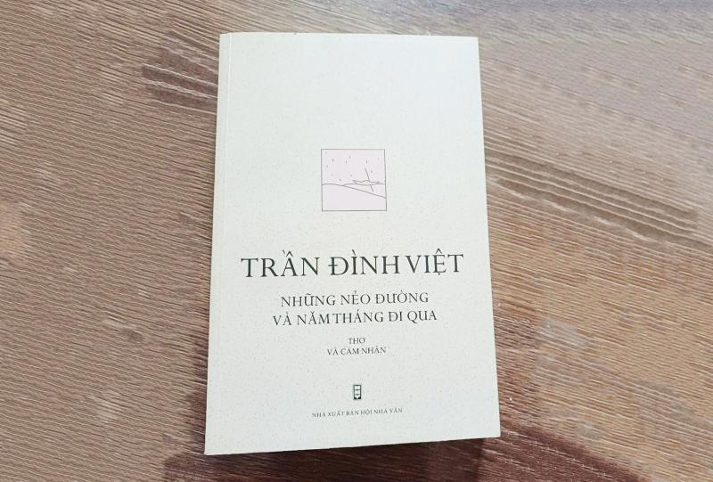 Tran Dinh Viet anh 1