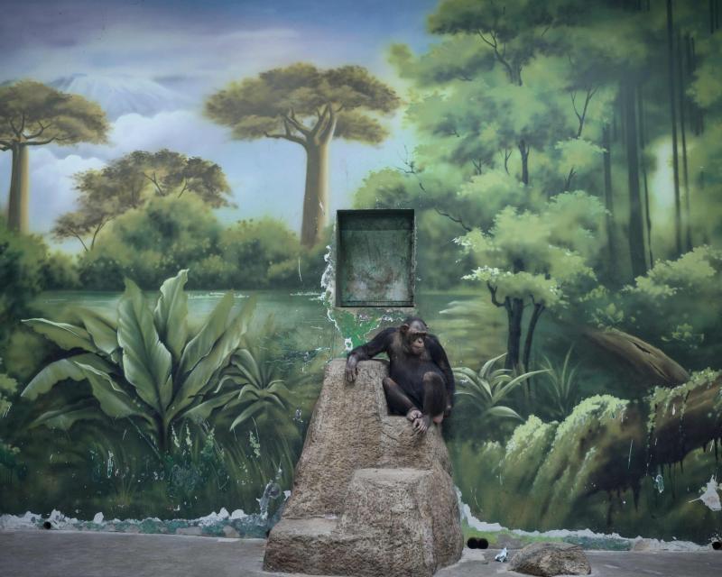 Anh thien nhien anh 2