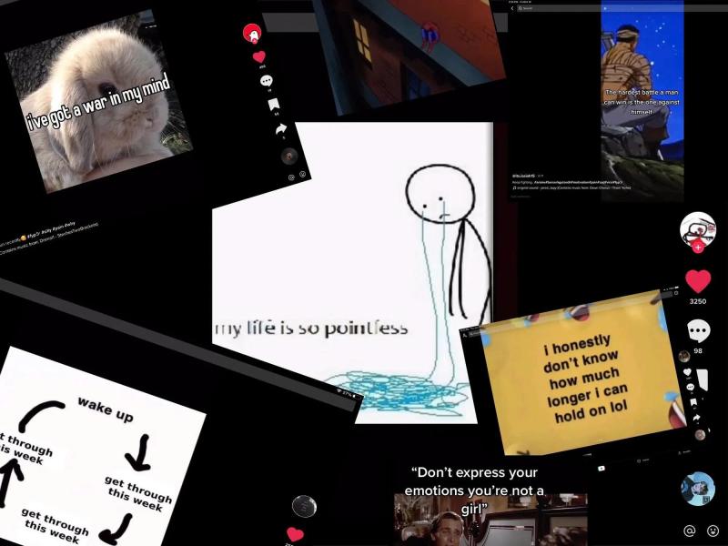 livestream tu tu tiktok anh 1