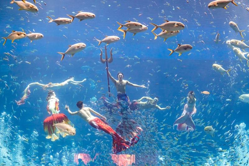 Vingroup Phu Quoc anh 2