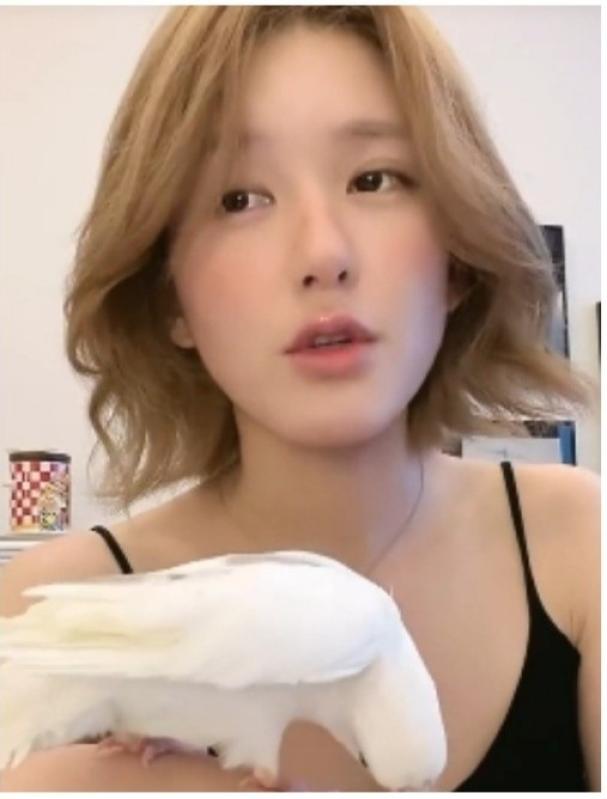 Trieu Lo Tu,  sao hoa ngu,  giai tri,  showbiz anh 1