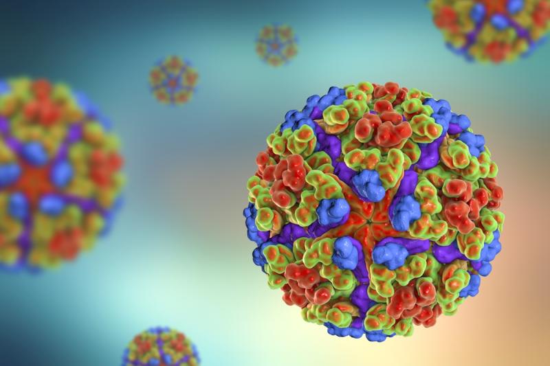 chikungunya anh 2