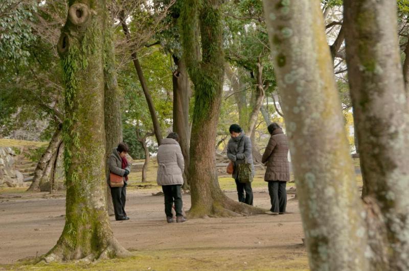 tham hoa Hiroshima anh 9