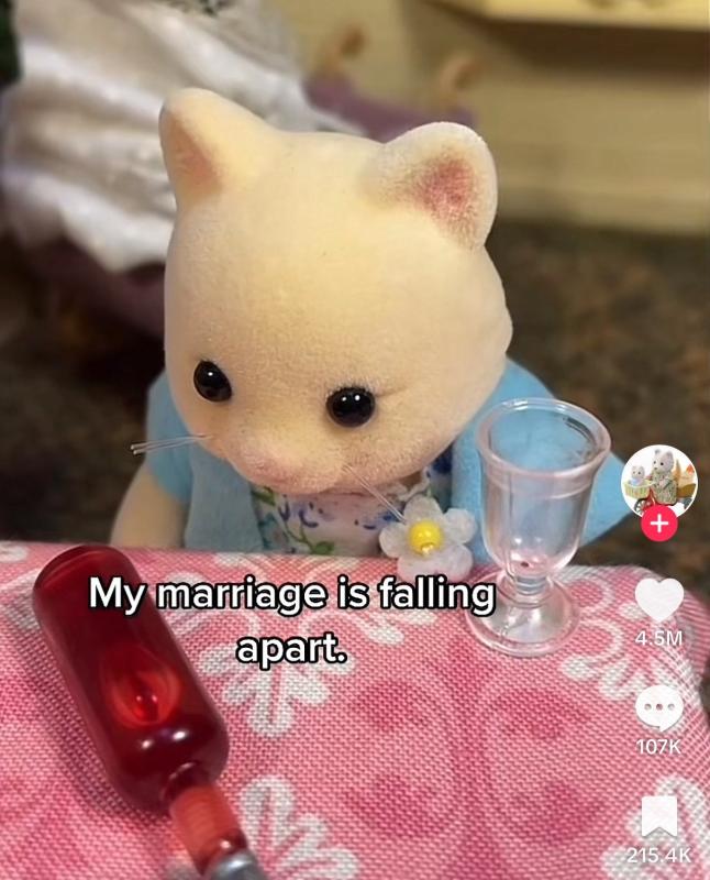 TikToker bi kien,  Sylvanian Drama,  ban quyen do choi,  noi dung nguoi lon,  Sylvanian Families,  Thea Von Engelbrechten anh 3