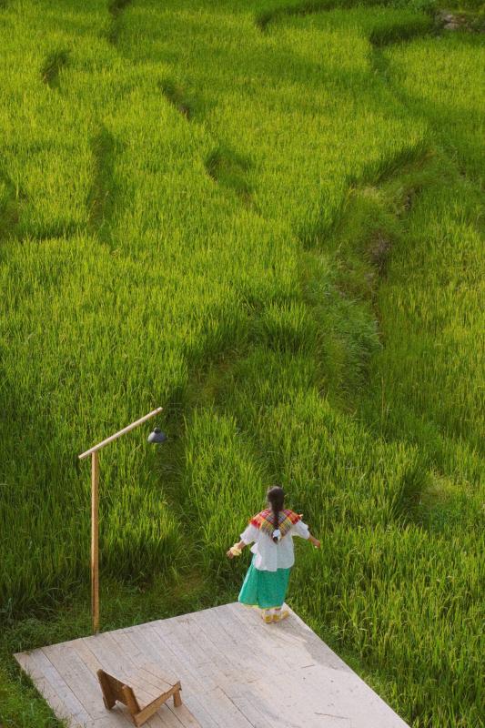 ca phe ruong lua anh 12