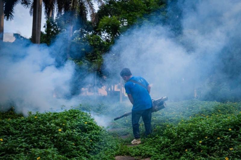 Virus chikungunya la gi anh 2