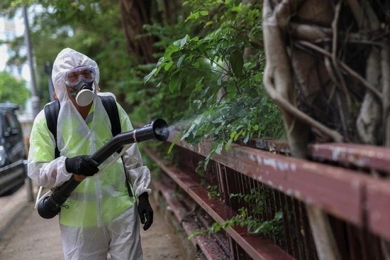 Chikungunya anh 1