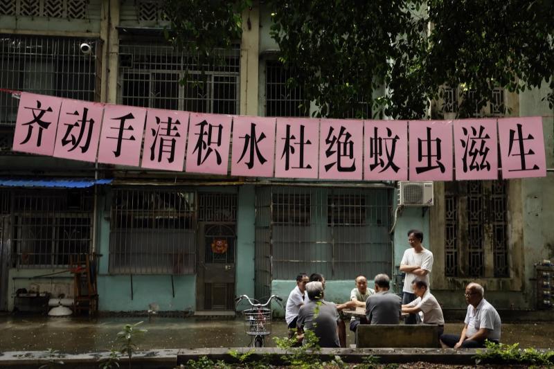 dich benh Chikungunya anh 7