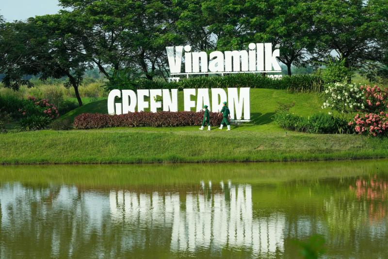 Vinamilk anh 8