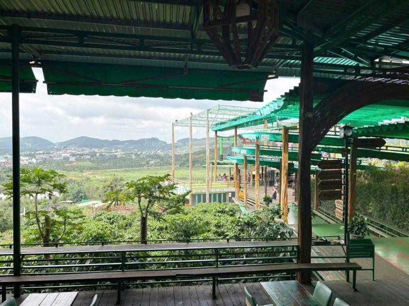 gia ca phe da lat anh 3